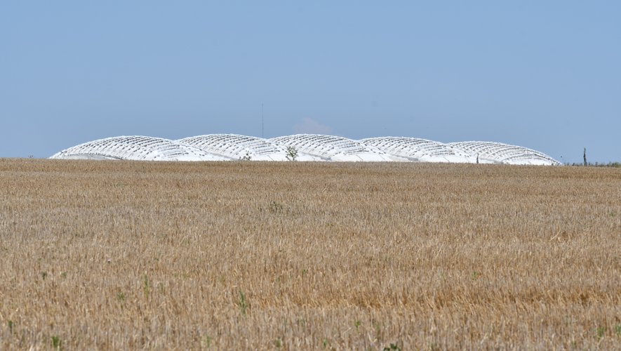 [Midi Libre] Montpellier : « Il n’y aura pas de logements étudiants ou autres à Cambacérès »