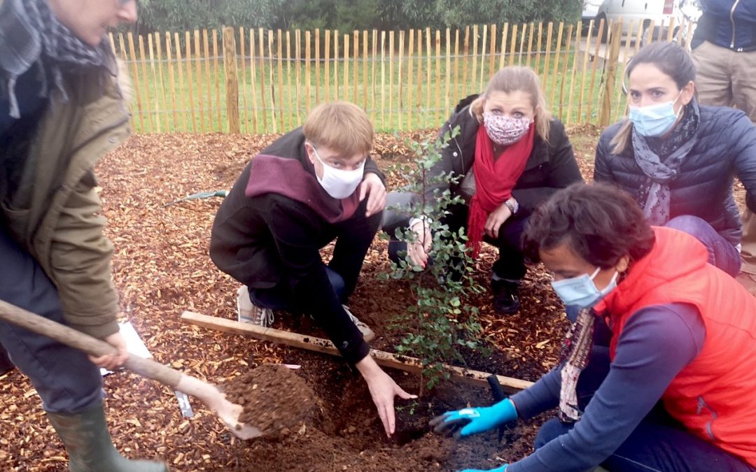 « Mettons de la nature dans notre ville », l’opération de plantation d’arbres pour une ville plus verte