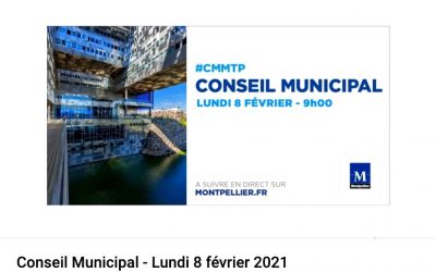 [Conseil Municipal] 08/02/2021 – Affaires et interventions des élu•es écologistes