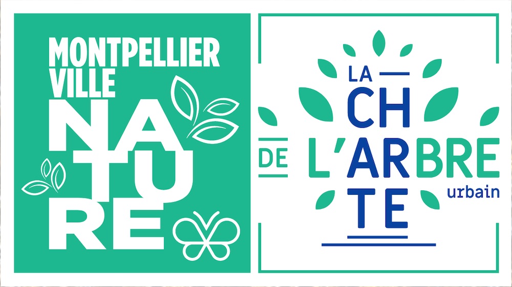 Stéphane Jouault a présidé le premier « Comité Arbre »