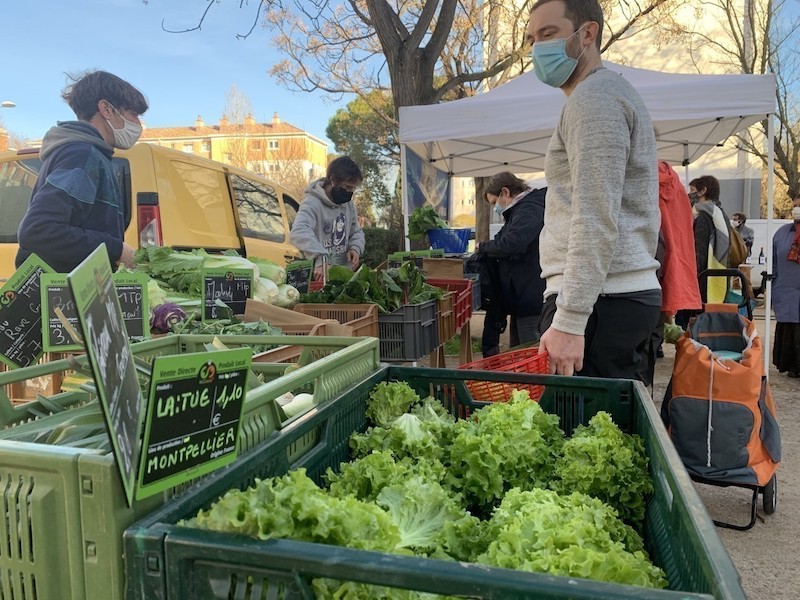 [Actu.fr] Le quartier des Aubes revit avec son marché paysan