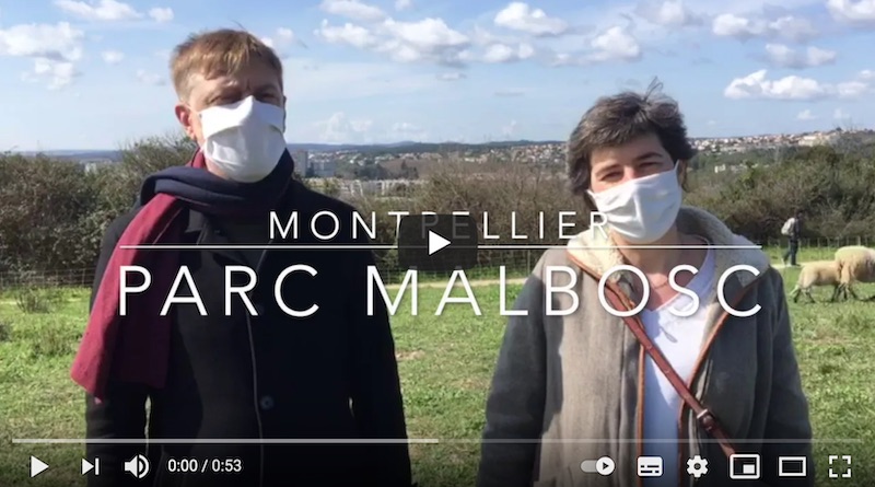 L’éco-pâturage: une opération écologique pour entretenir les espaces verts (video)