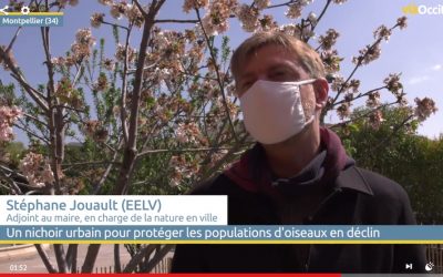 [Via Occitanie] Un nichoir urbain pour protéger les espèces d&rsquo;oiseaux en déclin