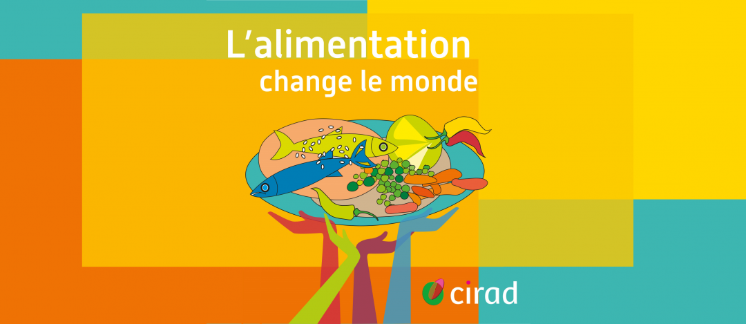 La cantine autrement (podcast du CIRAD) avec Marie Massart
