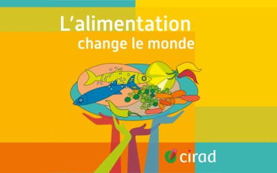 La cantine autrement (podcast du CIRAD) avec Marie Massart