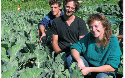 Dossier Agriculture urbaine (La Gazette de Montpellier) : Marie Massart