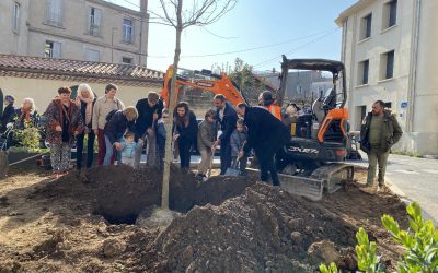 Plantation d’un chêne liège aux Arceaux (Stéphane Jouault – Gazette de Montpellier 06032023)
