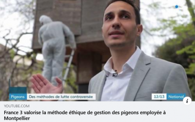 Méthode de gestion des pigeons : Eddine Ariztegui sur France 3 (26 avril 2023)