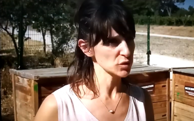 Zéro déchet : interview de Célia Serrano et François Vasquez (France 3 08092023)