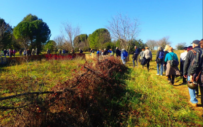 Tribune du groupe : Cité Bergère, Coteau de Malbosc