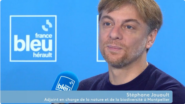 Végétalisation de la ville : Stéphane Jouault (France Bleu Hérault – 14 novembre 2023)