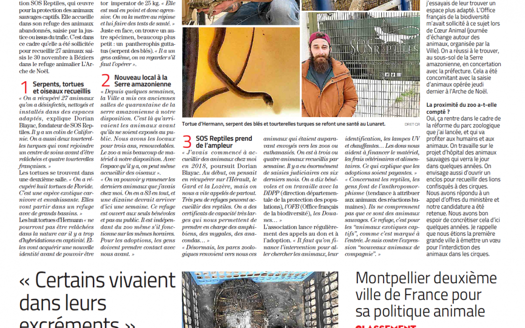 Bien-être animal : Montpellier agit (Midi Libre – 06122023)