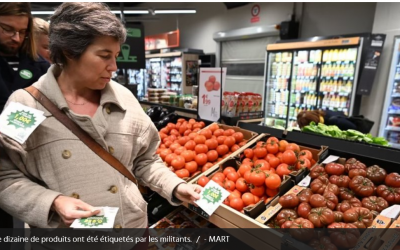 Une action « coup de poing » à Montpellier pour dénoncer les marges abyssales de la grande distribution : Marie Massart (Midi Libre 16 février 2024)