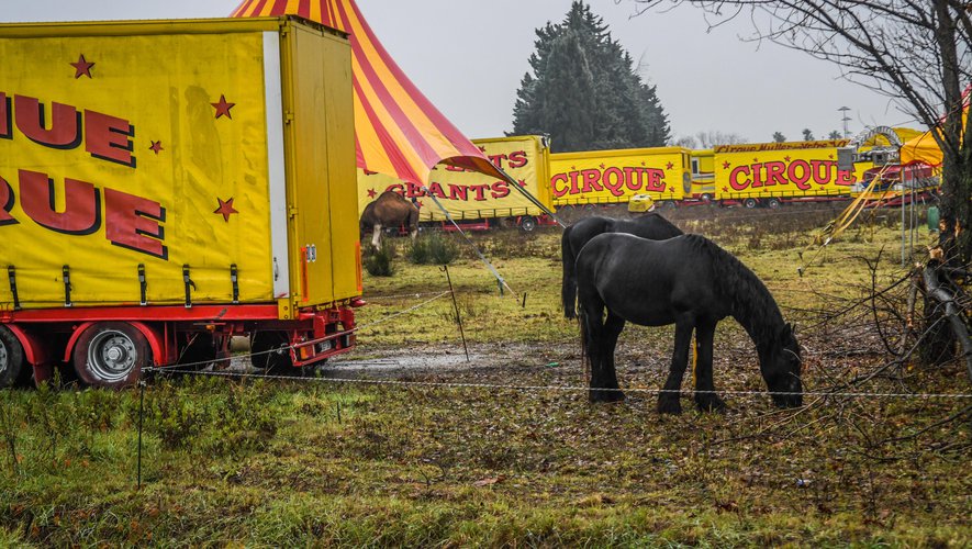 Cirques sans animaux : la justice nous donne raison (Midi Libre 1er février 2022)