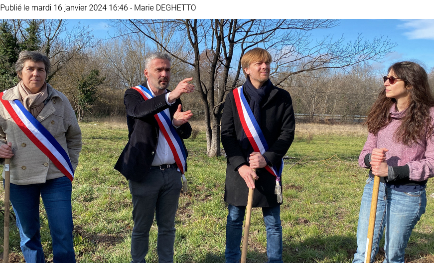 Montpellier : les opposants au COM plantent des arbres sur le tracé du projet routier (La Gazette de Montpellier)