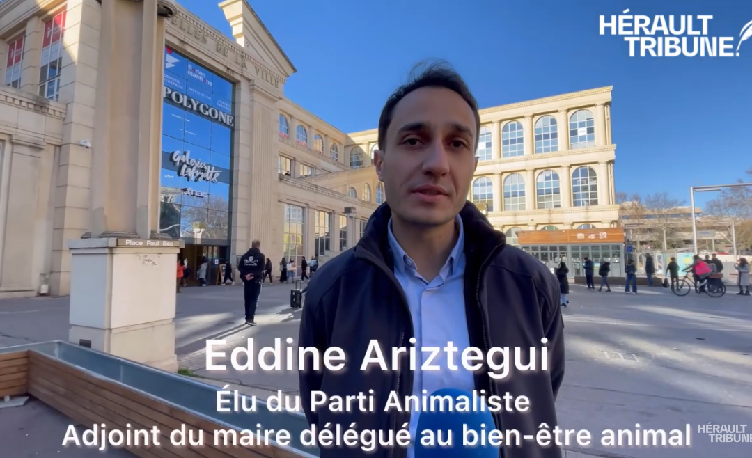 Interview Eddine Ariztegui – Montpellier : les militants anti-fourrure interpellent Les Galeries Lafayette, “pour eux le profit est bien supérieur au bien-être animal” (Hérault tribune 20 janvier 2024)